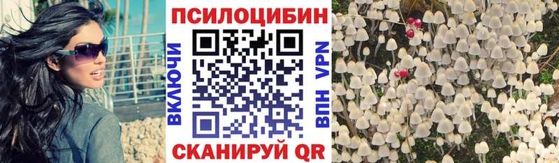 Псилоцибиновые грибы MAGIC MUSHROOMS  Купить  Октябрьск 